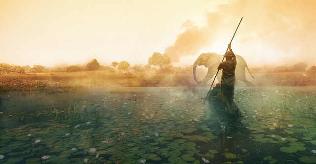 Okavango - L'ultimo paradiso