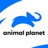 Animal Planet Icon