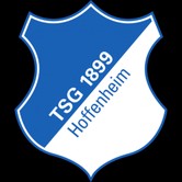 TSG 1899 هوفنهايم