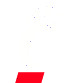 Cincinnati Bearcats