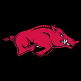 Arkansas Razorbacks