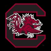 South Carolina Gamecocks