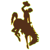 Wyoming Cowboys