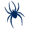 Richmond Spiders