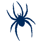 Spiders de Richmond