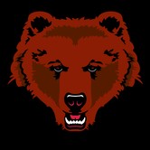 Brown Bears