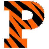 Princeton Tigers