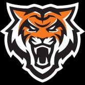 Bengals do Estado de Idaho