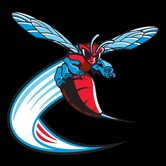 Hornets do Estado de Delaware