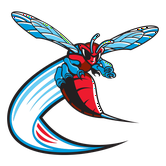 Hornets do Estado de Delaware