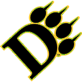 Ohio Dominican Panthers