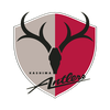 Kashima Antlers