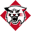Davidson Wildcats