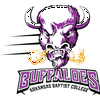 Arkansas Baptist Buffaloes