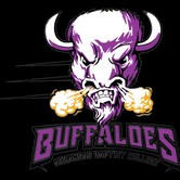 Arkansas Baptist Buffaloes