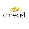 Cineasterna