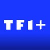 Découvrez HPI sur TF1+