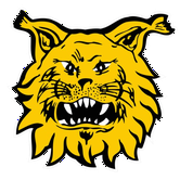 Tampereen Ilves