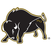 Harding Bisons