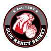 Sluc Nancy Basket