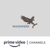 Waidwerk Amazon Channel