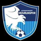 Büyükşehir Belediye Erzurumspor