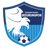 Buyuksehir Belediye Erzurumspor