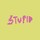 Stupid Co
