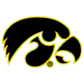 إيوا هاوكييز