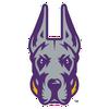 Albany Great Danes