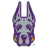 Albany Great Danes