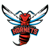 Delaware State Hornets