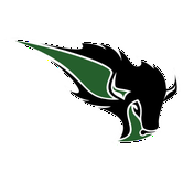 Oklahoma Baptist Bison