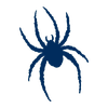Richmond Spiders
