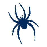 リッチモンドスパイダース