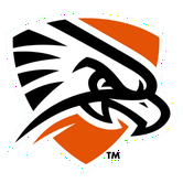 Texas Permian Basin Falcons