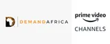 Demand Africa Amazon Channel