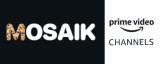 Mosaik Amazon Channel