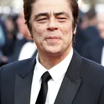 Benicio del Toro