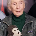 Jane Goodall