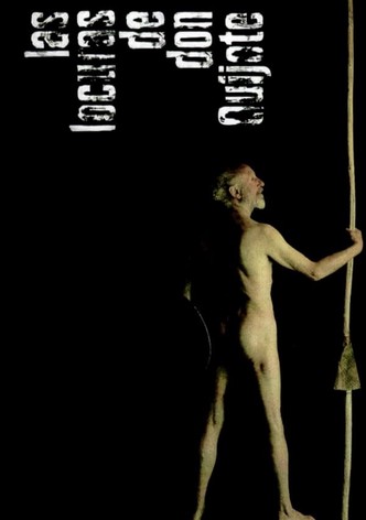 Las locuras de don Quijote