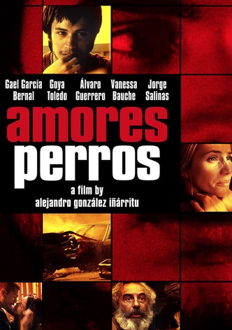 Amores perros - Von Hunden und Menschen