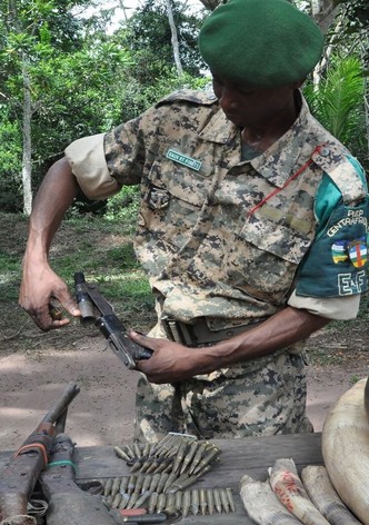 Elephant Path – Njaia Njoku