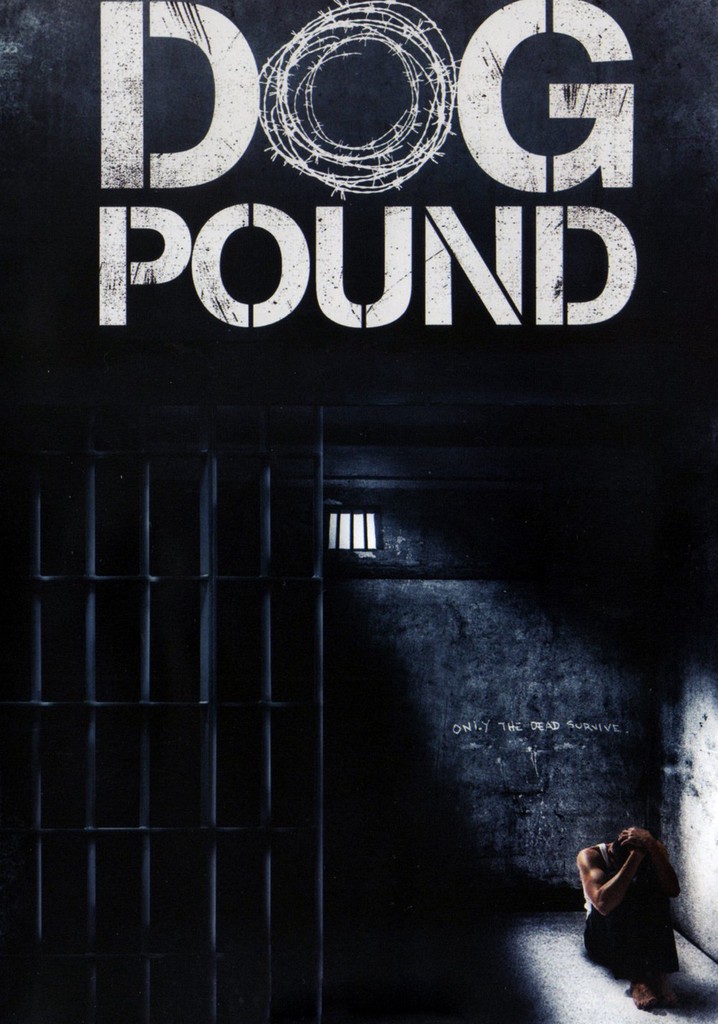 dog-pound-movie-where-to-watch-streaming-online