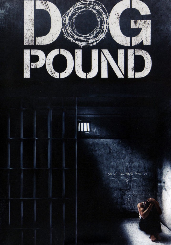Dog Pound Movie Where To Watch Streaming Online