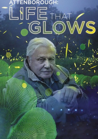 Attenborough's Life That Glows