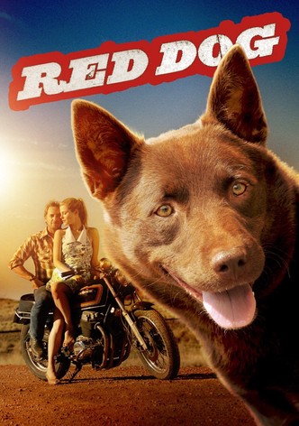 Red Dog