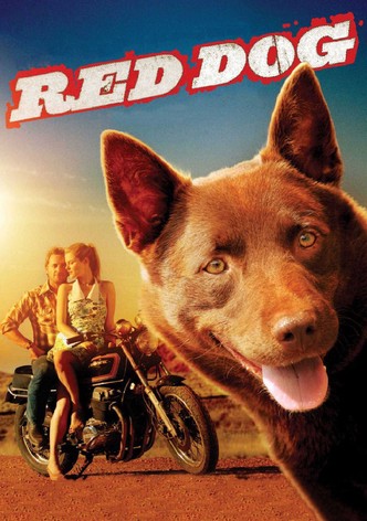 Red Dog streaming: where to watch movie online?