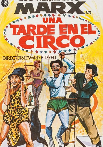 Una tarde en el circo