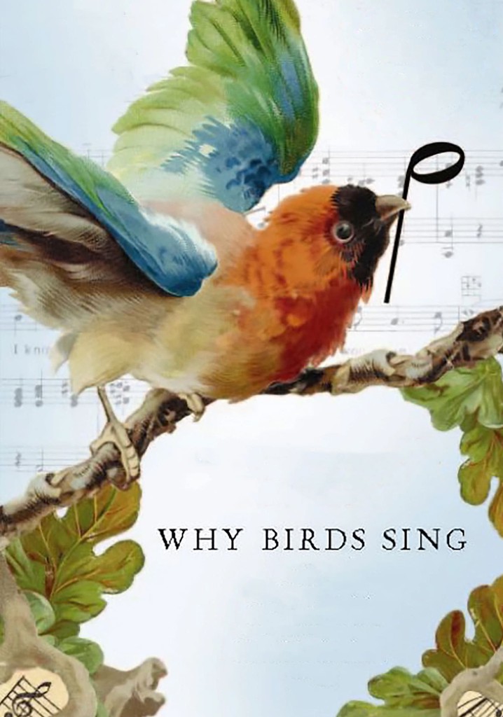 Why Birds Sing